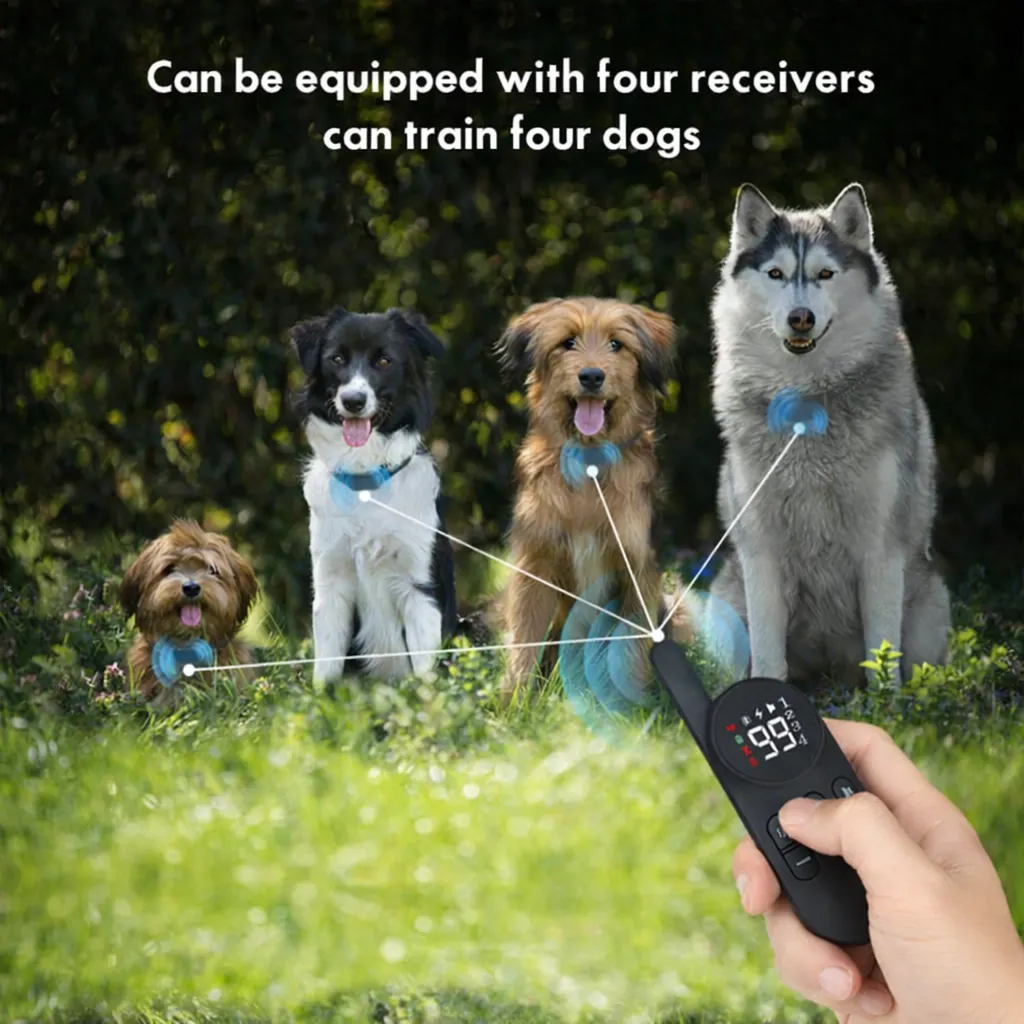 One PawPulse remote paired to four dogs wearing collars